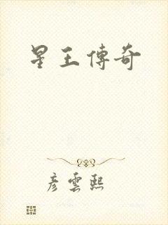星王传奇