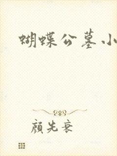 蝴蝶公墓小说