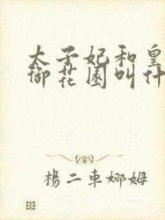 太子妃和皇帝在御花园叫什么小说