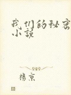 我们的秘密泰剧小说