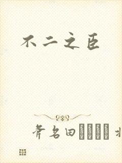 不二之臣