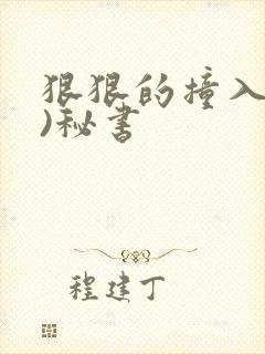 狠狠的撞入(h)秘书