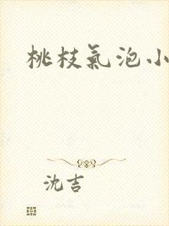 桃枝气泡小说