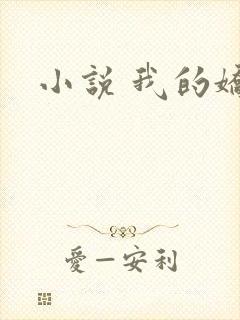 小说 我的娇妻
