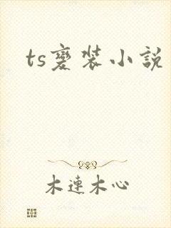 ts变装小说