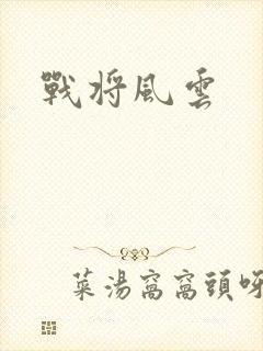 战将风云封面