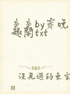 炎炎by霁晚笔趣阁txt