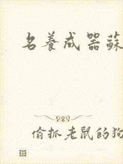 名养成器苏沫沫