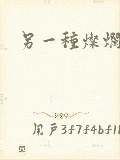 另一种灿烂生活
