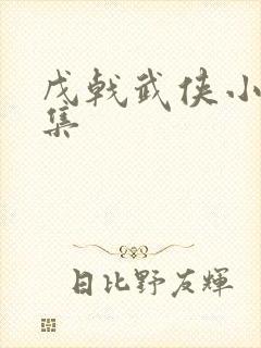 戊戟武侠小说全集封面