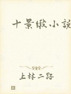 十景缎小说封面