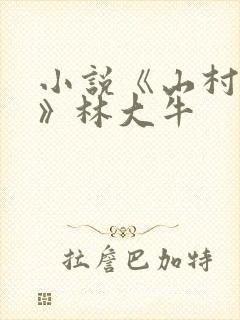 小说《山村情事》林大牛封面