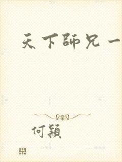 天下师兄一般黑封面