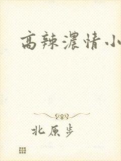高辣浓情小说
