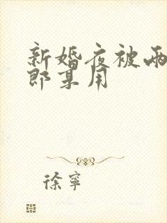新婚夜被两个伴郎享用封面