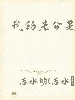 我的老公是军阀封面