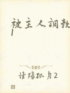 被主人调教1v1