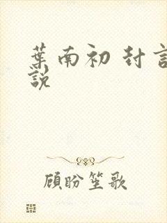 叶南初 封言小说