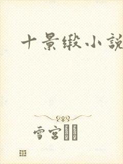 十景缎小说