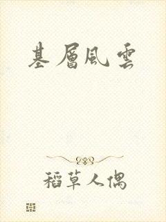 基层风云封面