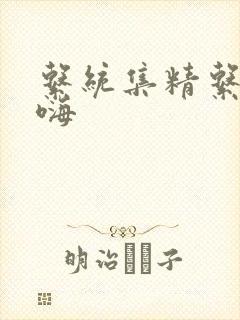 系统集精系统高嗨封面