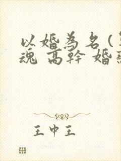 以婚为名 (军魂 高干 婚恋)