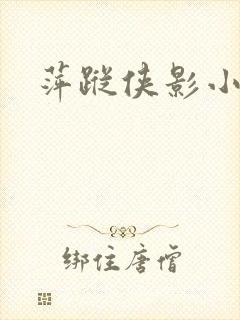 萍踪侠影小说