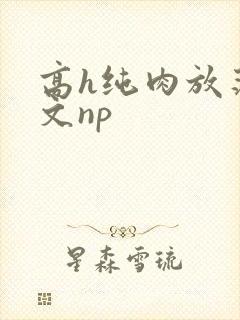 高h纯肉放荡h文np