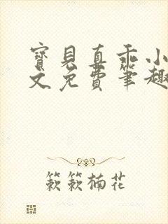 宝贝真乖小说全文免费笔趣阁封面