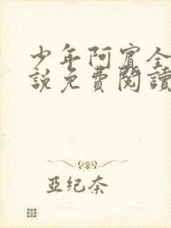 少年阿宾全文小说免费阅读笔趣阁