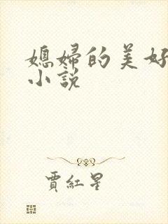媳妇的美好时代小说
