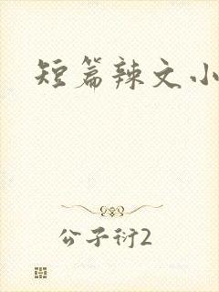 短篇辣文小说封面