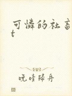 可怜的社畜txt