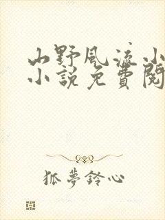 山野风流小神医小说免费阅读封面