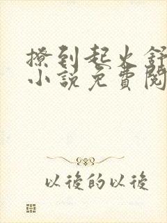 撩到起火舒漾的小说免费阅读全文