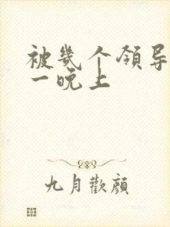 被几个领导玩弄一晚上