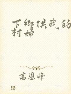 下乡供我的发泄村妇封面