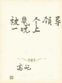 被几个领导玩弄一晚上