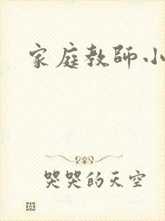 家庭教师小说