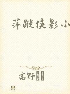 萍踪侠影小说