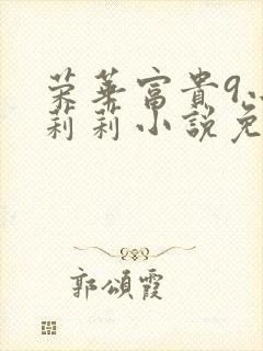 荣华富贵9小王莉莉小说免费阅读