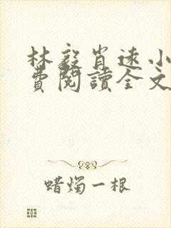 林毅肖远小说免费阅读全文最新章节封面