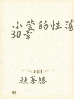 小莹的性荡生活30章封面