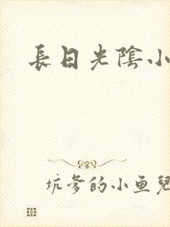 长日光阴小说
