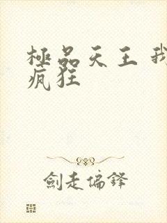 极品天王 我本疯狂封面