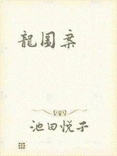 龙图案