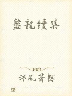 盘龙续集