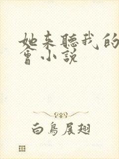 她来听我的演唱会小说