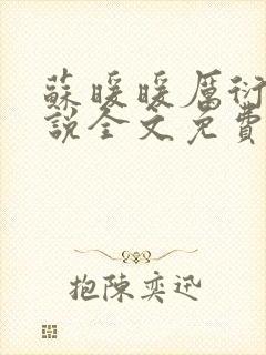 苏暖暖厉衍琛小说全文免费阅读