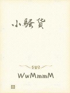 小骚货